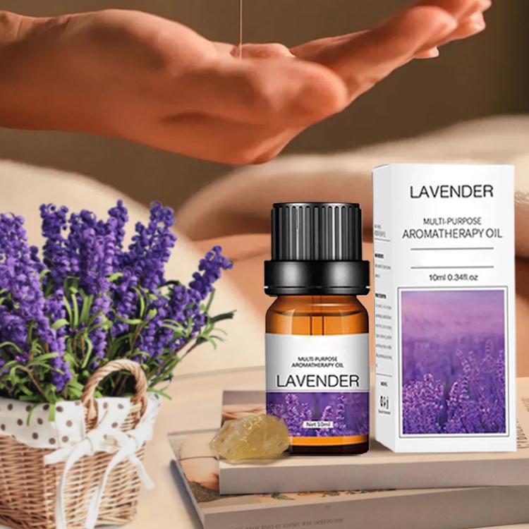 10ml Fragrance Oils Gift Box F - đánh giá và giá Soap Making Books