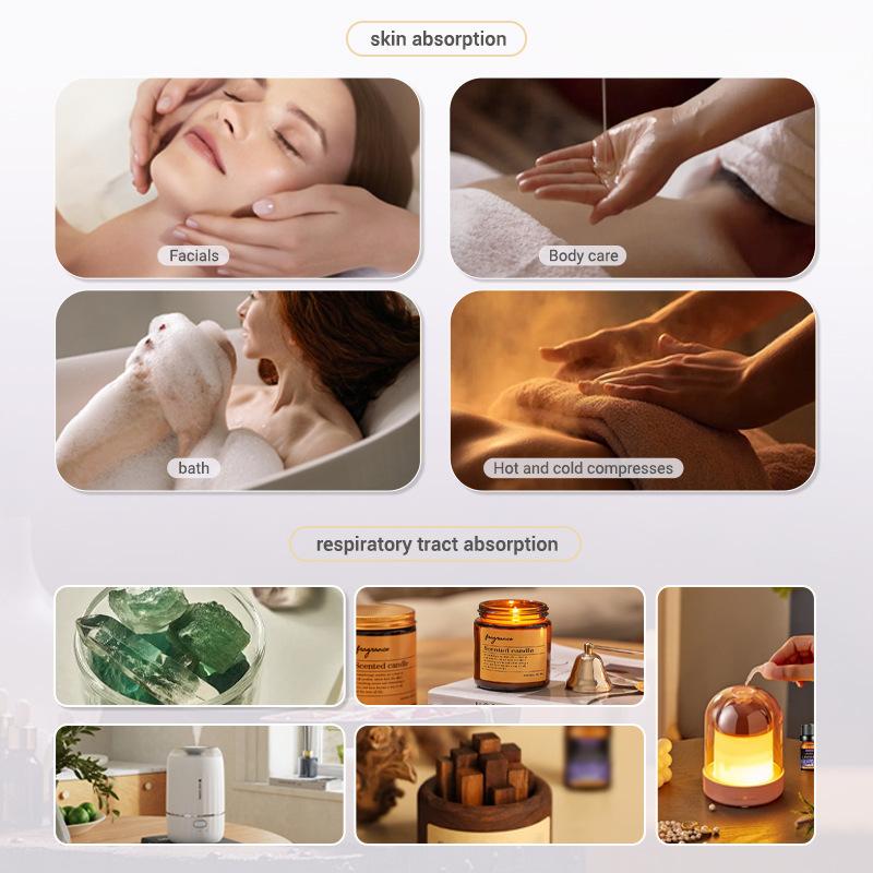 10ml Fragrance Oils Gift Box F - đánh giá và giá Soap Making Books